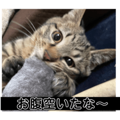 [LINEスタンプ] めいちゃんスタンプーー