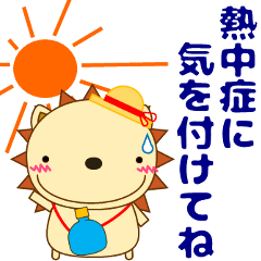 [LINEスタンプ] 優しい気づかい にゃーてぃん 夏 暑中見舞