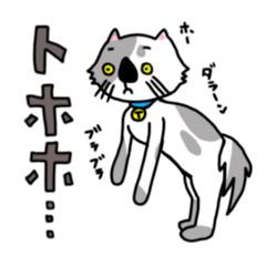 [LINEスタンプ] 可愛い猫 てん3