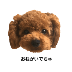 [LINEスタンプ] おねだりキッズ
