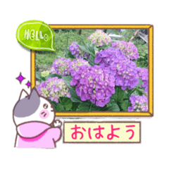 [LINEスタンプ] フレームスタンプ0626