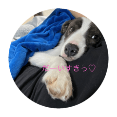 [LINEスタンプ] SKYの七変化♡