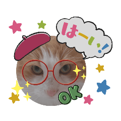 [LINEスタンプ] きなねこ