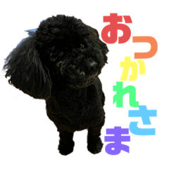 [LINEスタンプ] 可愛琉♡スタンプ2