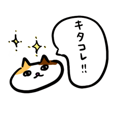 [LINEスタンプ] 友達に使う猫のスタンプ