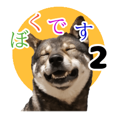 [LINEスタンプ] ぼくは四国犬2