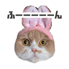[LINEスタンプ] Mohukocha