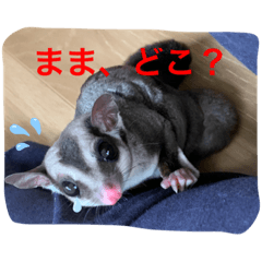 [LINEスタンプ] ももすけの日常で使えるスタンプ！！3