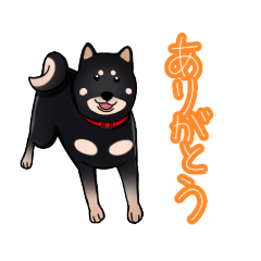 [LINEスタンプ] 黒柴さくらと仲間たち2