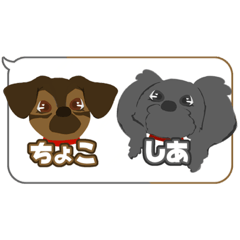 [LINEスタンプ] しあちょこすたんぷ！！