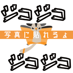 [LINEスタンプ] 写真にも使って欲しい♡フクロモモンガ語