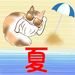 [LINEスタンプ] 綺麗な猫らいらい♡あいさつ夏編♡