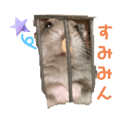 [LINEスタンプ] すみぃタンスタンプ