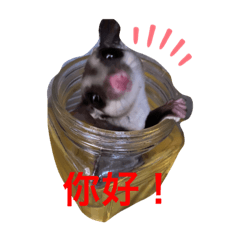 [LINEスタンプ] ももすけの日常で使えるスタンプ！中国語版