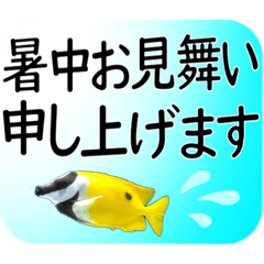 [LINEスタンプ] 大きな文字で 挨拶 気遣い日常会話