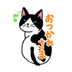 [LINEスタンプ] ちょっとだけ目つきの悪いネコ