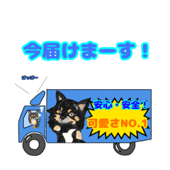 [LINEスタンプ] とりあえず 犬 vol.1