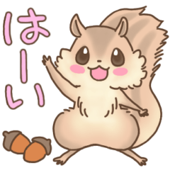 [LINEスタンプ] 毎日使えるかわいい動物さんスタンプ