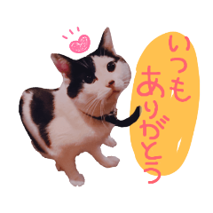 [LINEスタンプ] おむすびスタンプ第4弾！【実写Ver.】