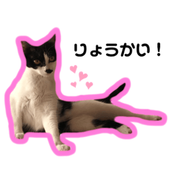 [LINEスタンプ] Mame♡Uri