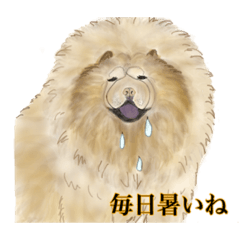 [LINEスタンプ] チャウチャウ犬のスタンプ