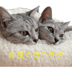[LINEスタンプ] むぎたんとゆきたん