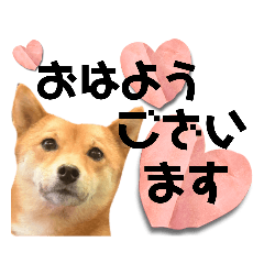 [LINEスタンプ] モコスタンプの巻1