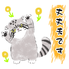 [LINEスタンプ] 日常で使える敬語のマヌルネコちゃん