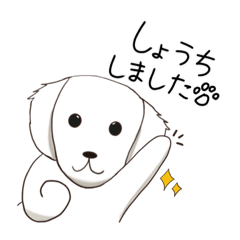 [LINEスタンプ] 【けいご】えいこくごーるでんれとりばー