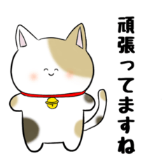 [LINEスタンプ] 丁寧で褒め上手な三毛猫ちゃん