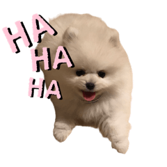 [LINEスタンプ] べいびーべびちゃん♡