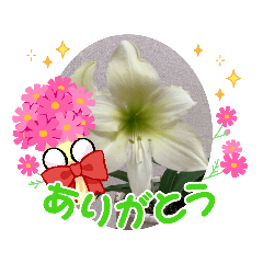 [LINEスタンプ] ベンジャミー