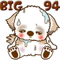 [LINEスタンプ] 【Big】シーズー犬 94『とにかく暑い！』