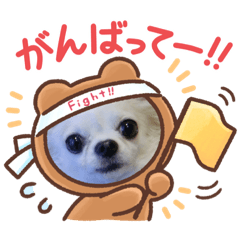 [LINEスタンプ] ちぇりーとピョンタのごあいさつ