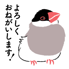 [LINEスタンプ] ふみ文鳥