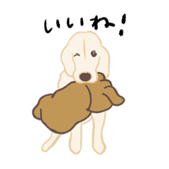 [LINEスタンプ] ゴールデンレトリバーのメリーちゃん2