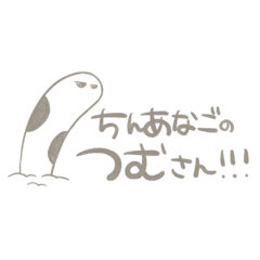 [LINEスタンプ] チンアナゴのつむさん