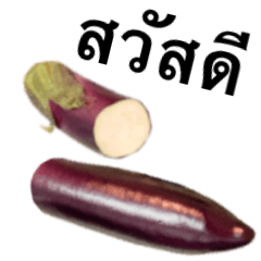 [LINEスタンプ] ナス です 野菜 タイ語 紫