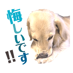 [LINEスタンプ] lovelyダックス・Friendsパート2