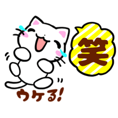 [LINEスタンプ] しろねこ♡梅雨から夏♡気持ちを伝えよう