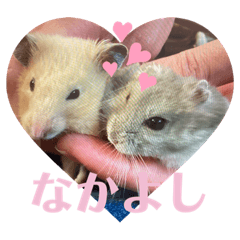 [LINEスタンプ] うちのくまジロースタンプ