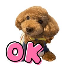 [LINEスタンプ] ふらんスタンプ。