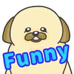 [LINEスタンプ] シーズー☆Funny Moments ver3