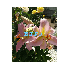 [LINEスタンプ] 花のある生活スタンプ