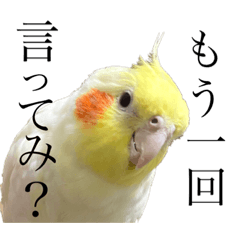[LINEスタンプ] うちのカワイイちびっこたちPart15