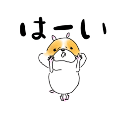 [LINEスタンプ] 敬語可愛いハムと女の子の日常用語