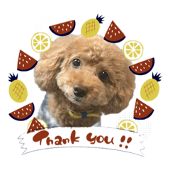 [LINEスタンプ] フランスタンプ 2