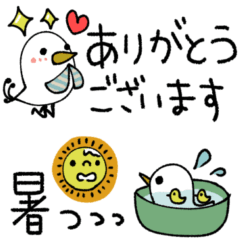 [LINEスタンプ] mottoの大人シンプル♡夏