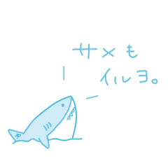 [LINEスタンプ] ゆるサメ君(日常)