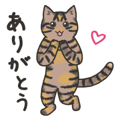 [LINEスタンプ] 40匹のねこの、みんなで感謝！